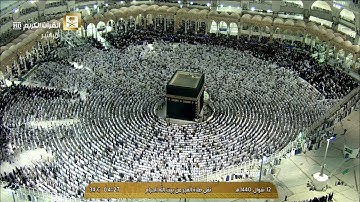 فجرية خاشعة | خواتيم سورة التوبة | السبت 12-10-1440هـ | للشيخ د- ماهر المعيقلي