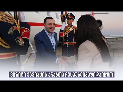 ვიზიტი ეგვიპტის არაბთა რესპუბლიკაში დაიწყო