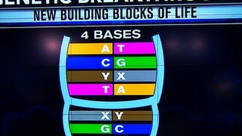 Living organism made with artificial genetic code