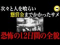 人を次々と食い、懸賞金までかかったホオジロザメ。サメが人間を襲い続けた12日間の全貌「ニュージャージー州サメ襲撃事件」