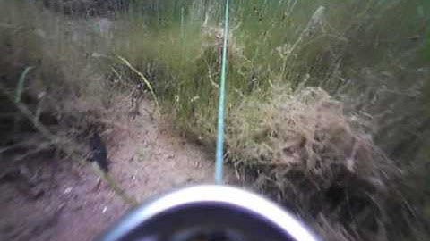 FishSpy Footage - Swim checking with no foamy