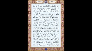 تلاوت روزانه قرآن با ترجمه تصویری – سوره بقره – صفحه 13 | Quran Kareem