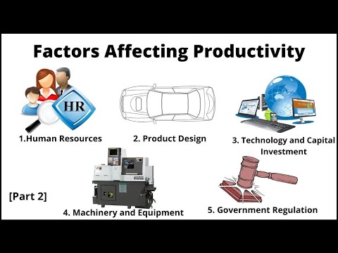 Video: Kokie veiksniai turi įtakos produktyvumui?