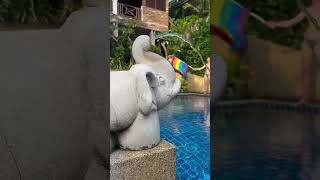 Alpha resort Ko Samui #gay #twins #lgbt #fun