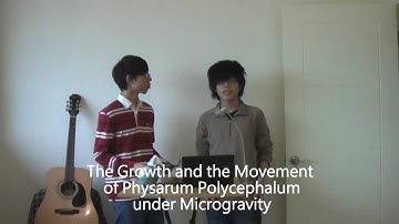 [BaleCaps in YouTube Space Lab] Biology - Physarum polycephalum under Microgravity