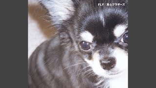 真心ブラザーズ - FLY