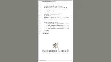 PSeInt : Calcular el sueldo neto y según su categoría dar una bonificación.
