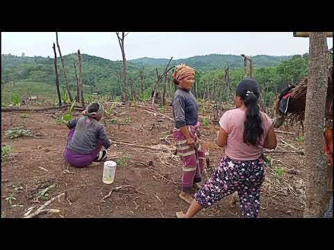 winen ch marak jamatal rika winen ch marak jamatal rika