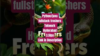 💼 Freshers #Software Developer Jobs in Hyderabad | TekWorks Apprentice Program 2025