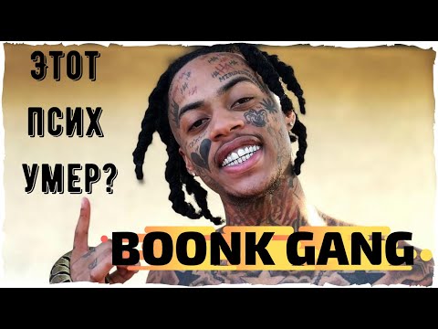 Video: Boonk Gang Čistá hodnota: Wiki, ženatý, rodina, svadba, plat, súrodenci