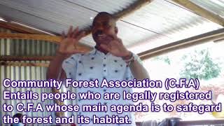 How To Join The Community Forest Ociation Episode 1 3