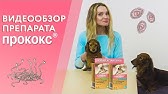 Празител суспензия для кошек и собак. Инструкция по применению - YouTube