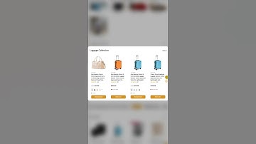 Try Ecomclips Shopify Website Development Services