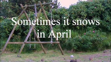 Prince - Sometimes it snows in April (Lyrics)
