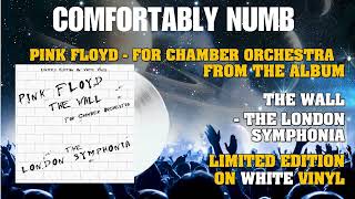 Pink Floyd 'Comfortably Numb' from The Wall for Chamber Orchestra London Symphonia  [James Gambold]