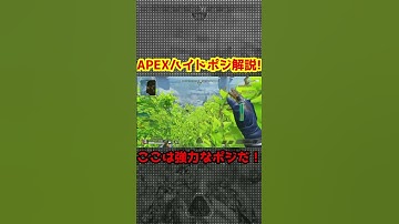 APEXハイドポジション解説！最終アンチここら辺よくある！ #apex #shorts #short