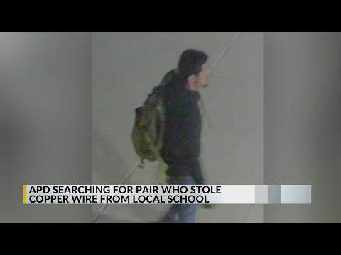 Duo suspected of