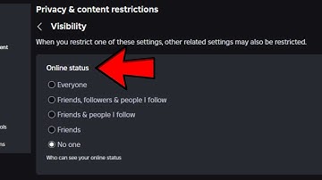 How to APPEAR OFFLINE on ROBLOX | New Feature