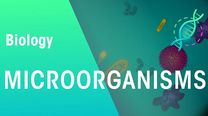 Microorganisms | Genetics | Biology | FuseSchool - DayDayNews