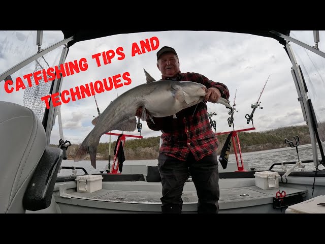 The Ultimate Guide to Missouri Catfish Fishing: Tips, Techniques