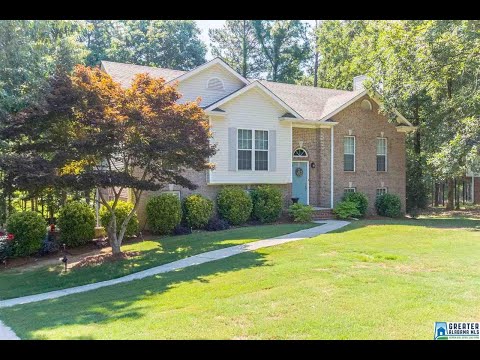 113 BRYNHURST DR, Chelsea, AL home video tour