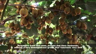 Juan Pablo Mayol - Chimbarongo