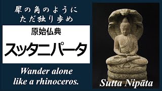 ブッダの生の教え！最古の仏典「スッタニパータ」をやさしい言葉で【29分解説】