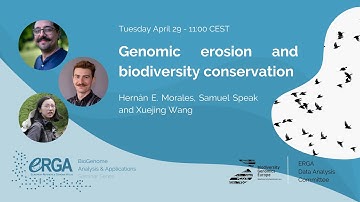 Genomic erosion and biodiversity conservation