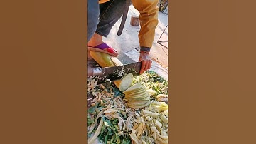 Do You Feed Pig With Banana Sterm ? #satisfying #shortsvideo