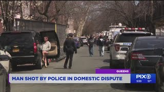 Man shot by police during domestic dispute call
