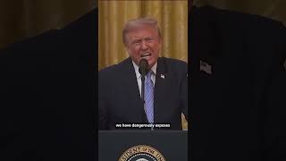 Trump declassifies documents revealing U.S. election vulnerability