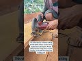 Cutting Wooden Planks with a Circular Saw | Traditional Wooden Boat Building