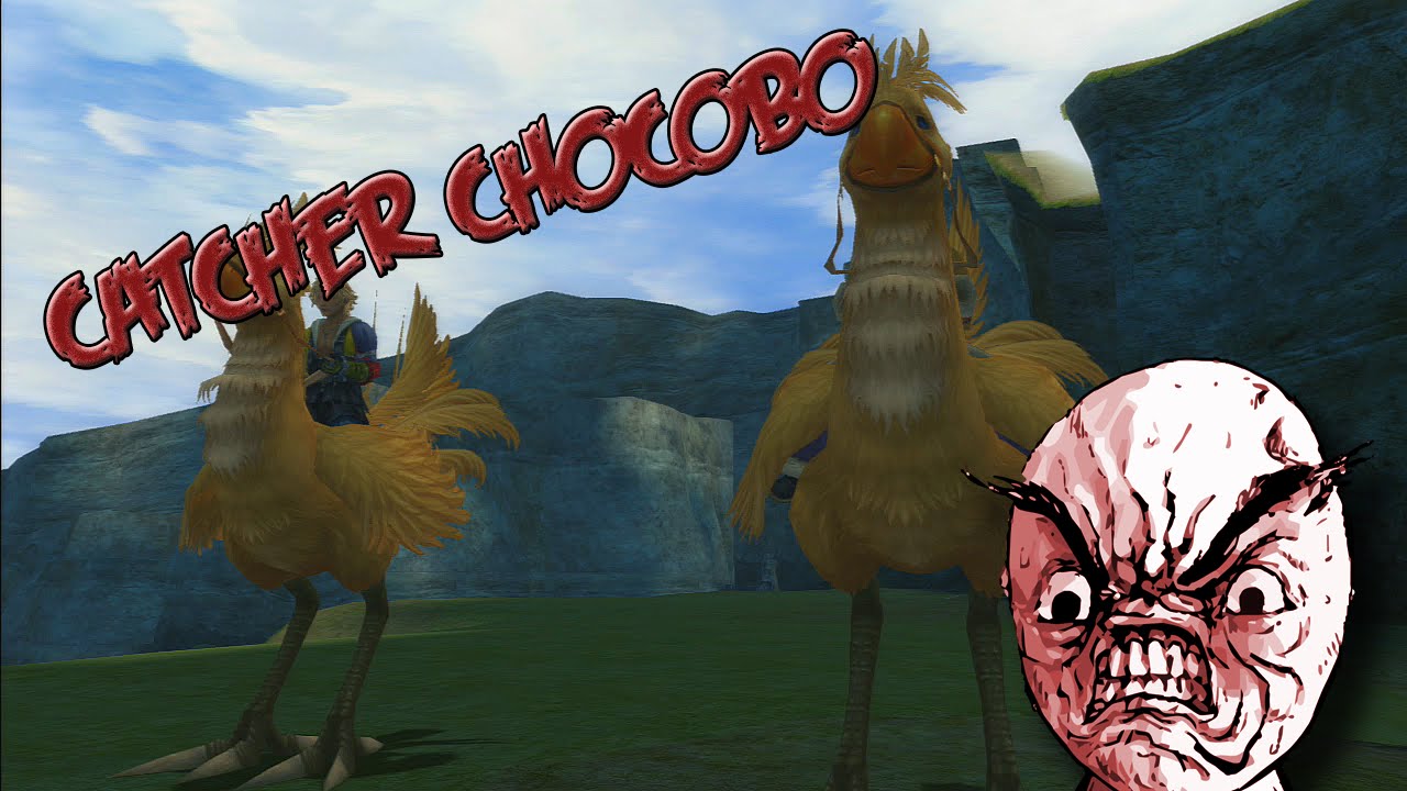 FFX HD Catcher Chocobo