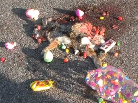Hey Jimmy Kimmel, we told the kids the Easter Bunny was dead! - YouTube