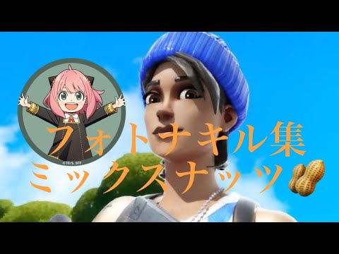 フォトナキル集 ♪ミックスナッツ