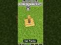 what is this 😱 #minecraft #gaming #youtubeshorts