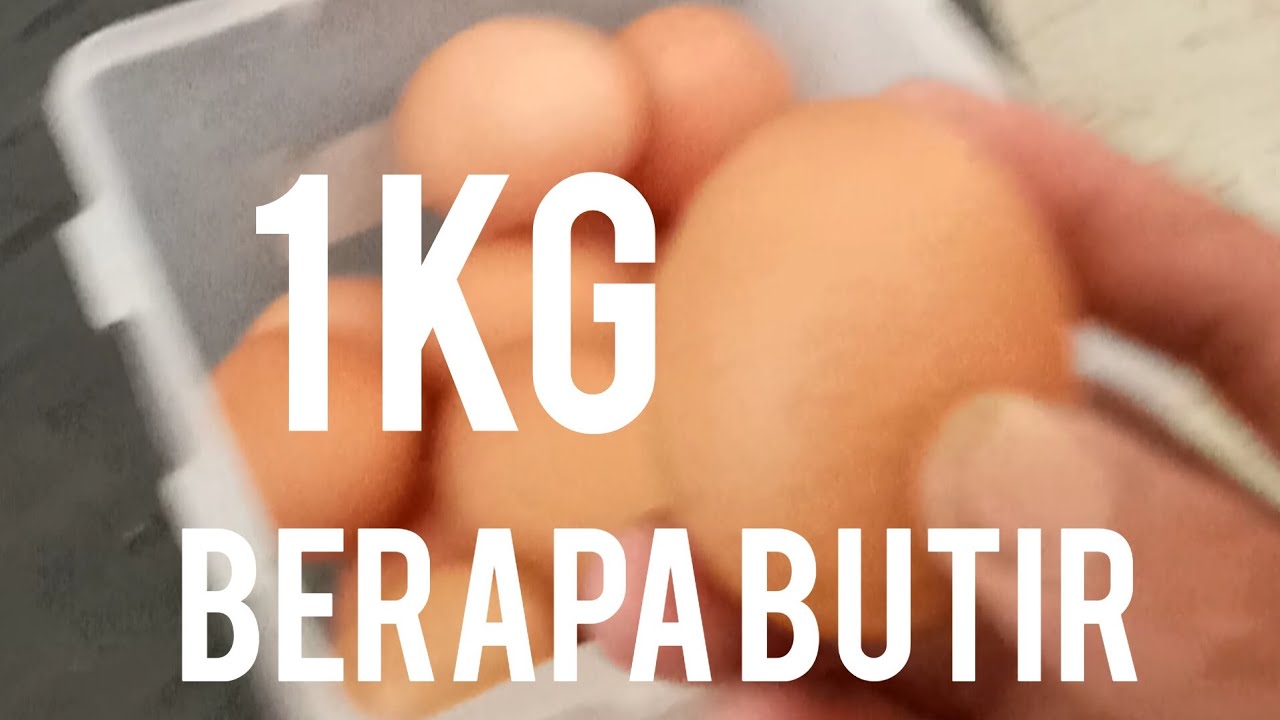 1-kg-telur-ayam-ada-berapa-butir-ujank-gerandu-youtube