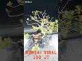 BONSAI Viral 150 Jt