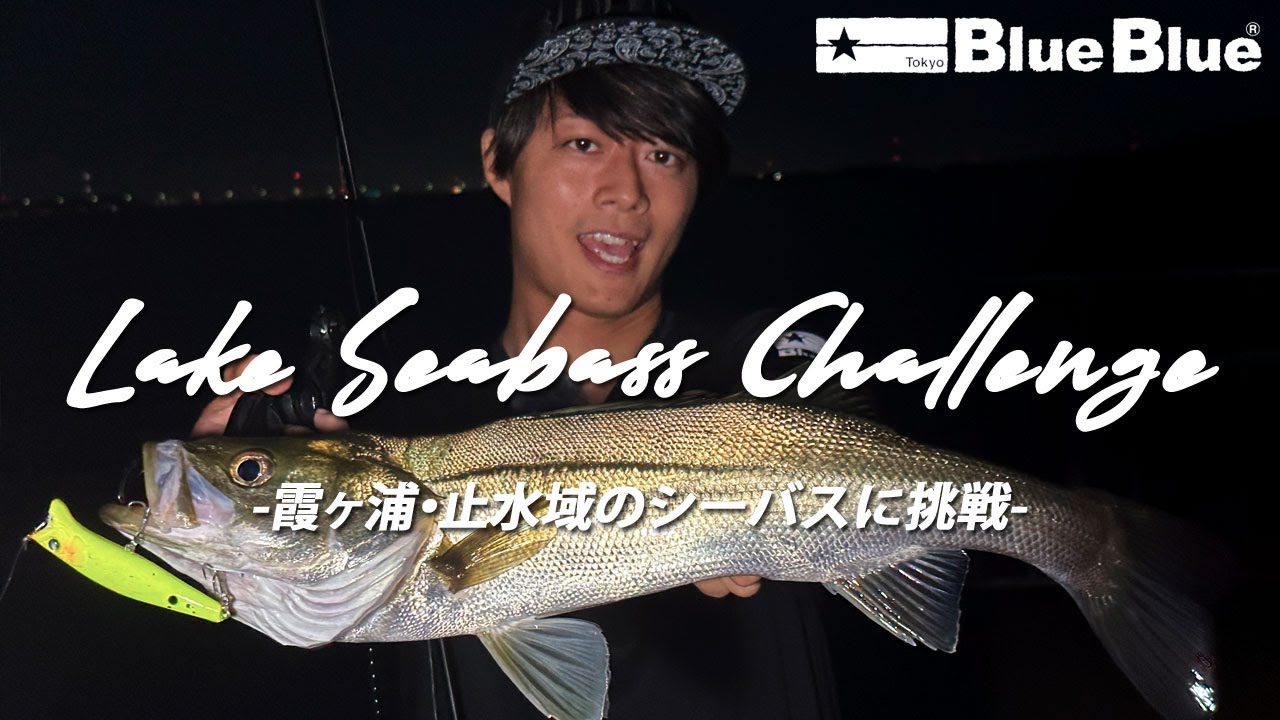 Попробуйте ловлю морского окуня на озере Касумигаура!