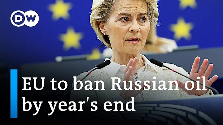 EU has proposed new sanctions against Russia | DW News - DayDayNews