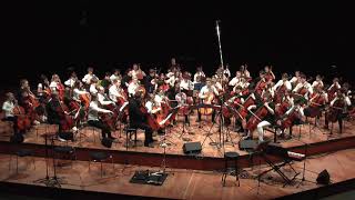 "Every Breath You Take" Celloversum 2020 RMS Cello Big Band