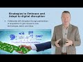 Strategies to Embrace and Adapt to Digital Disruption v2