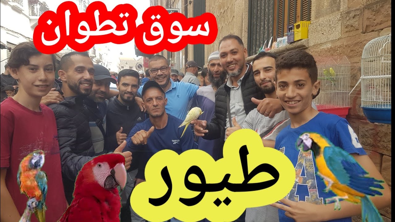 سوق أسبوعي بتطوان بيع جميع  انواع طيور والحمام  والمستلزمات 2022/10/30 😍😍😍😍