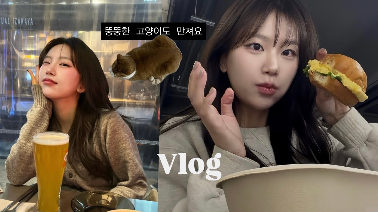 왜 회사는 방학이 없는건데.. | 대학원생 브이로그 | 뚱뚱한 고양이 뱃살 보러와 