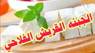 طريقه عمل الجبنه القريش الفلاحي في المنزل رؤؤؤعه????