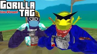 🔴Live stream with ‎⁨@TheGoldKernel⁩ 🔴