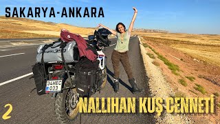 Mars In Turkey! Nallıhan Bird Sanctuary Road / From Sakarya to Ankara / Part 2