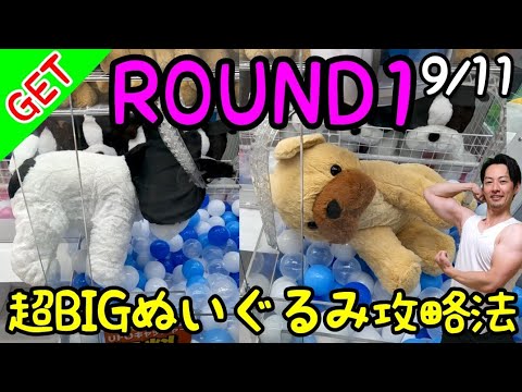 ドリンカブル BIG ぬいぐるみ YouTube hq720.jpg?sqp=-