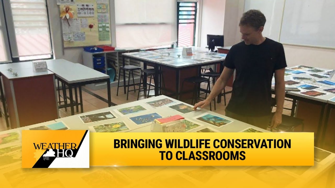 Bringing wildlife conservation to classrooms (Part 3/3) | Weather HQ ...