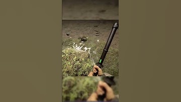 Turtles! | Sons of the Forest